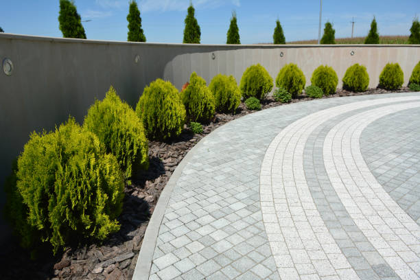 Best Decorative Driveway Pavers  in Lake Riverside, CA